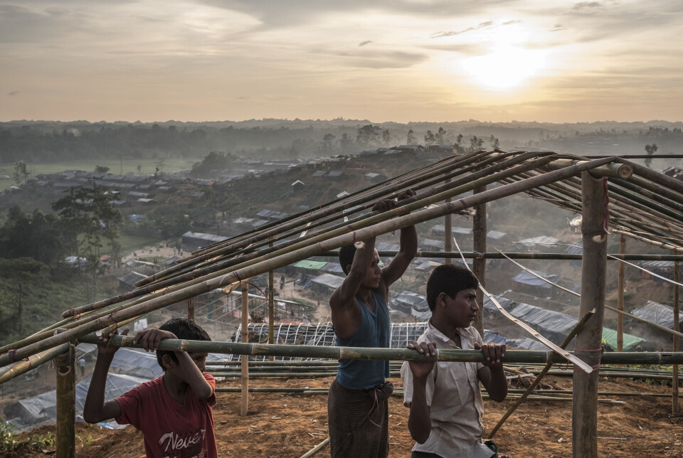 Verdens matvareprogram har meldt at de må halvere nødhjelpen til over én million flyktninger i Cox's Bazar, Bangladesh, fra 1. april på grunn av manglende finansiering. Bildet viser Rohingya-flyktninger fra Myanmar som bygger et tilfluktssted i leiren.