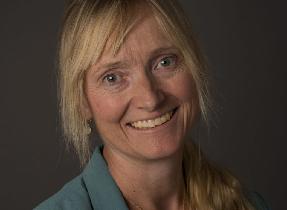 Marianne Cecilie Irion, direktør for risikohåndtering i Flyktninghjelpen.