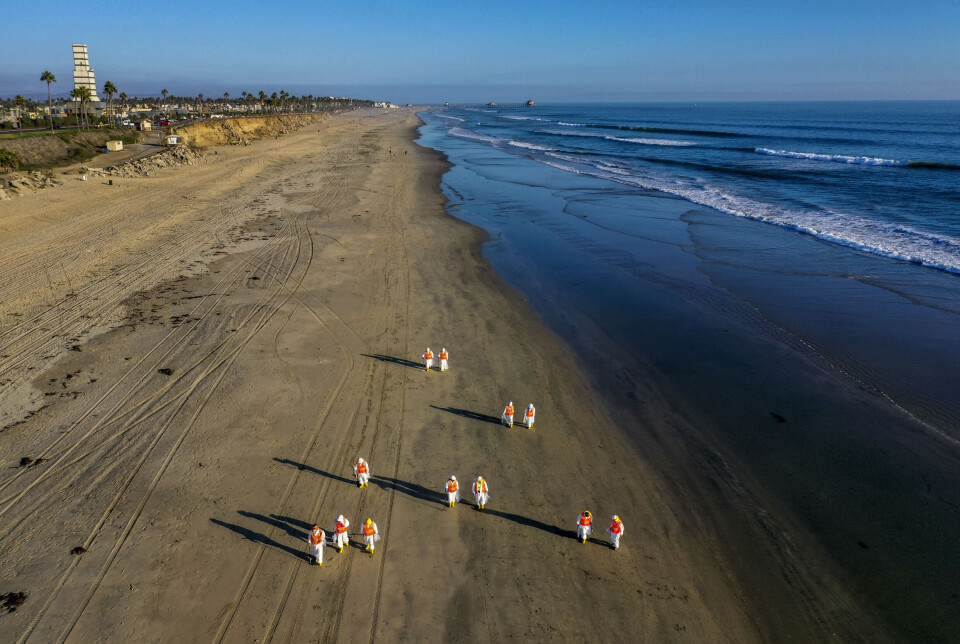 Opprydning etter et stort oljeutslipp i California, USA, i 2021. Utslippet forurenset strender og drepte dyr og fugler.