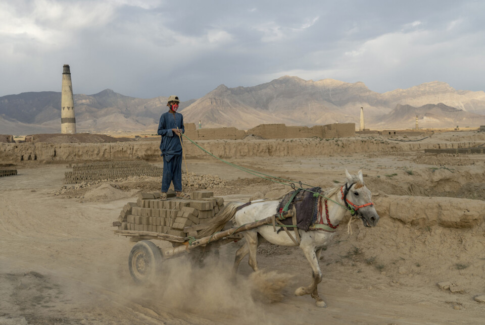 En 13 år gammel afghansk gutt jobber på et mursteinverk utenfor Kabul. Økonomien har kollapset etter Talibans maktovertakelse i 2021, og barnearbeid er utbredt.