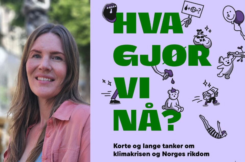 Boken Hva gjør vi nå? er redigert av Gina Ekholt, som er påtroppende generalsekretær i Forum for utvikling og miljø.