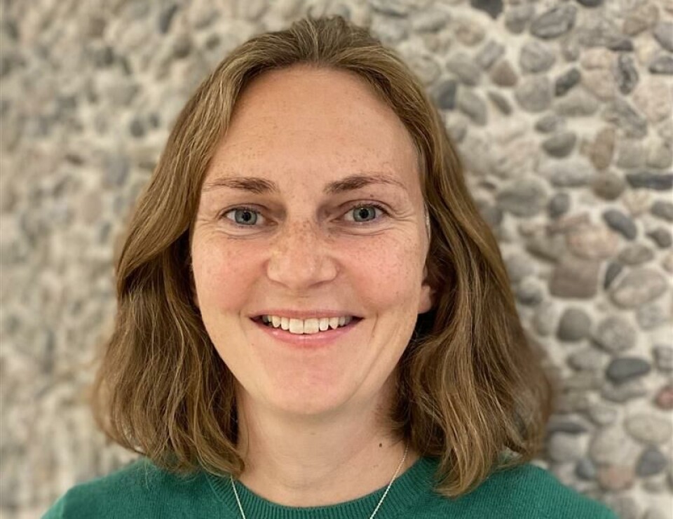 Tove Heggli Sagmo, leder i Forskerforbundet i Norad.
