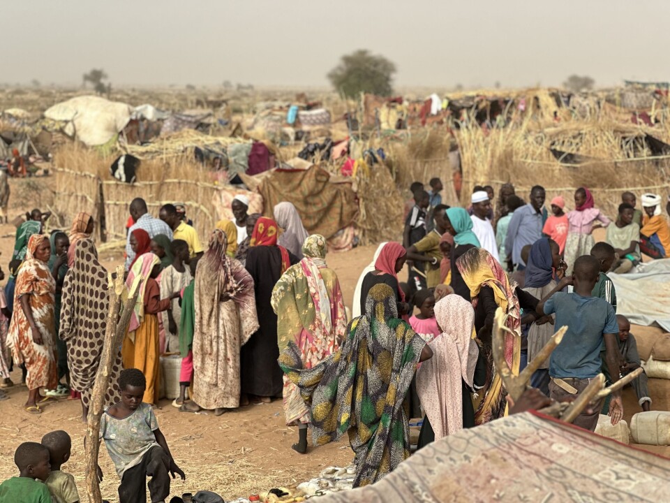 Hundretusener av mennesker på flukt fra Zamzam- og Al Fasher-leirene har søkt tilflukt i Tawila i Nord-Darfur, ifølge Flyktninghjelpen.