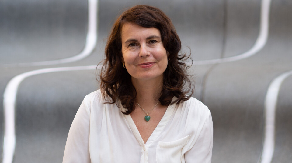 Kriminologi-professor Katja Franko ved Universitetet i Oslo (UiO).