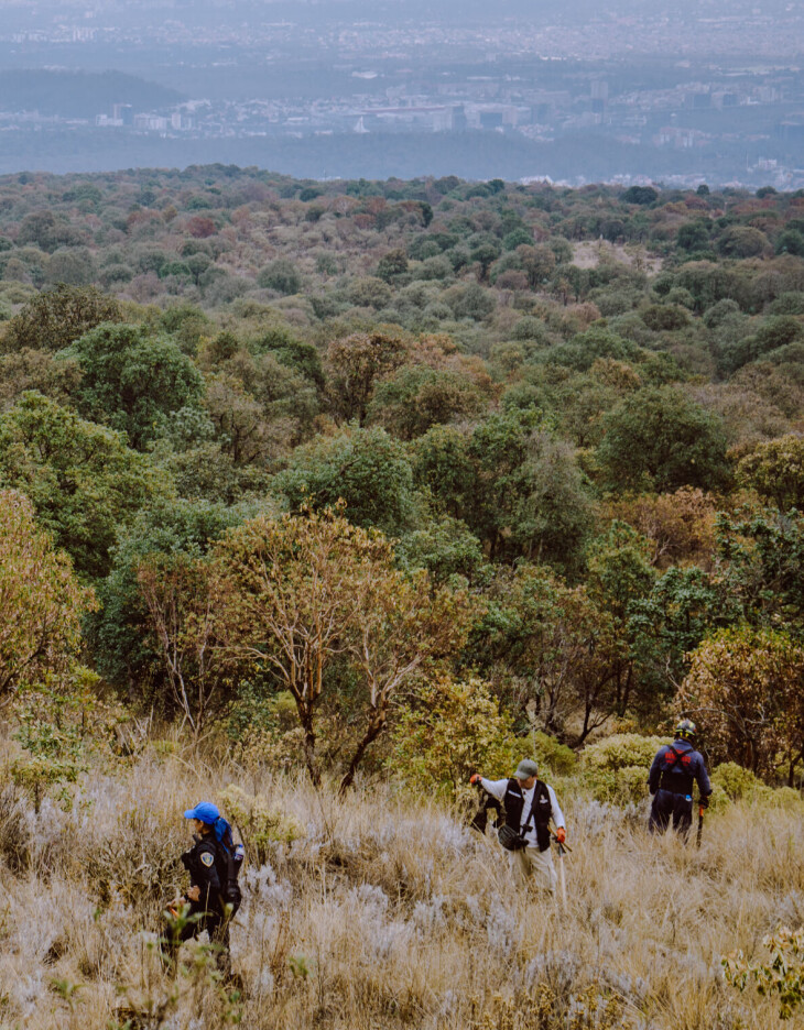 Ajusco nasjonalpark ligger i høydene sør for Mexico City, hvor det de siste årene er funnet en rekke lik som kriminelle antas å ha dumpet der.