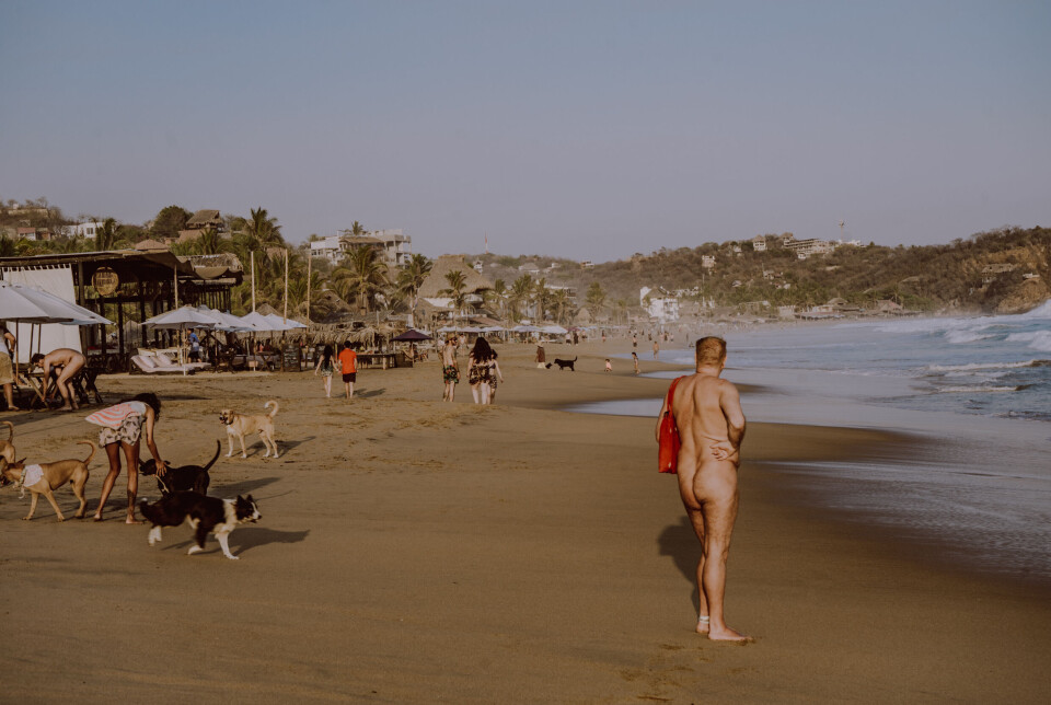 Zipolite er kjent som en fredelig hippielandsby, der nudismen går tilbake til 1970-tallet. Likevel antas området i dag å være styrt av kriminelle grupper med tilknytning til det mektige Cártel de Jalisco Nueva Generación.