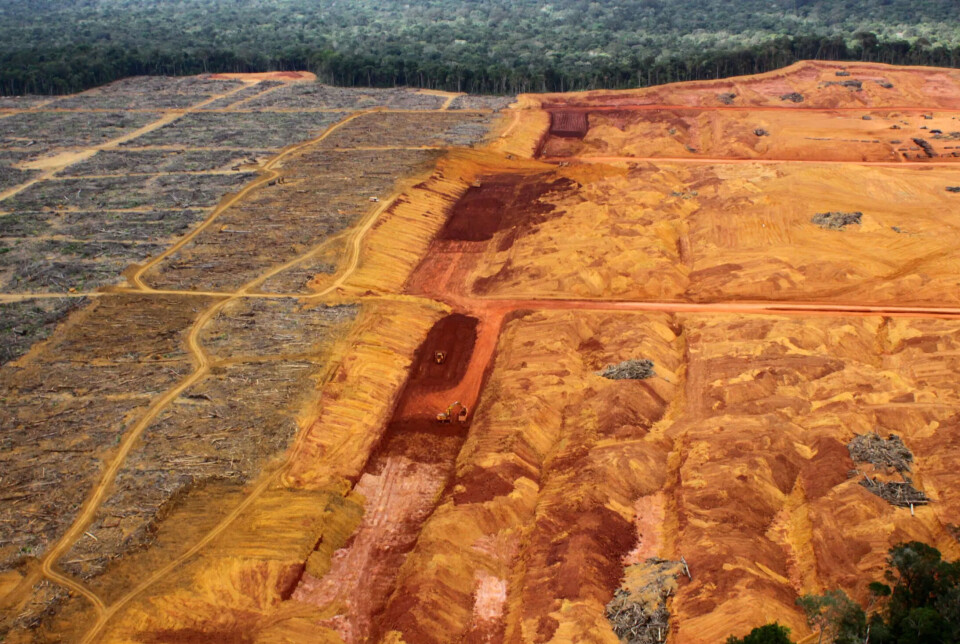 Rio Tinto, som Oljefondet har investert vel 16 milliarder kroner i, er deleier i Mineração Rio do Norte (MRN) som driver en av Brasils største bauksittgruver. Delstaten Pará, der MRNs gruve ligger tett på urørt regnskog, har opplevd betydelig skogtap de siste tiårene grunnet blant annet landbruks- og gruvedrift.