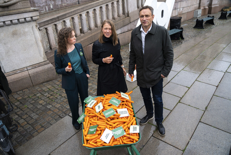 Nestleder Ingrid «Sperregrensen» Liland, MDG-topp Une Bastholm og partileder Arild Hermstad deler ut gulrøtter foran Stortinget som et valgkampstunt.