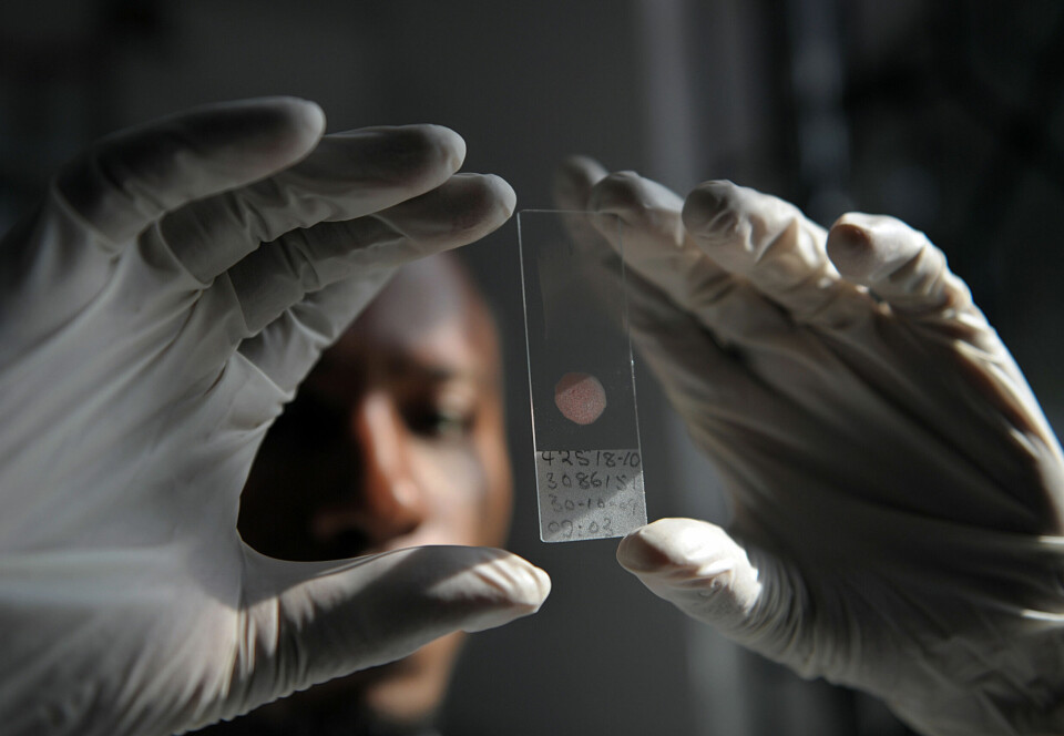 En laboratorietekniker analyserer en DNA-prøve ved Ifakara-instituttet i Tanzania i 2009, som en del av arbeidet med å utvikle en malariavaksine.