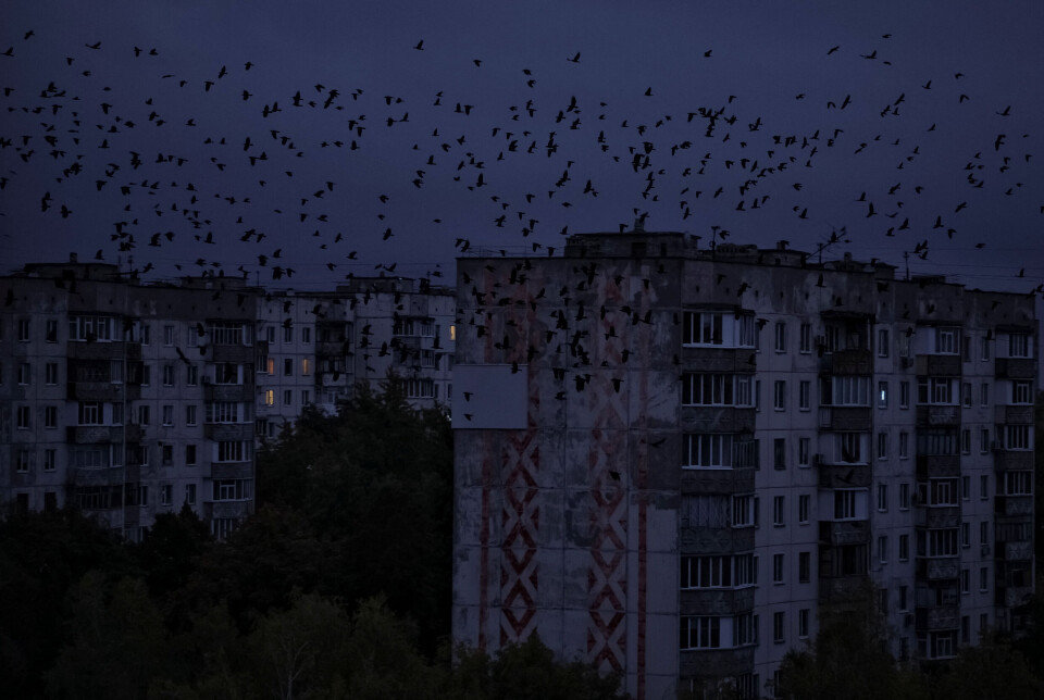 Massive russiske angrep mot sivil infrastruktur gjør at mange ukrainere står uten tilgang til strøm og vann. Når vinteren kommer vil den humanitære situasjonen bli ytterligere forverret, advarer Flyktninghjelpen. Bildet er fra Chernihiv og viser boligblokker uten strøm tidligere denne måneden.