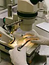 Hanskekledde hender håndterer en prøve under et mikroskop på et laboratorium.