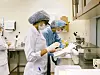 To laboratorieassistenter sorterer beholdere med morsmelk i et laboratorium ved Instituto Fernandes Figueira.