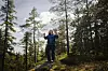 Frøya Skjold Sjursæther står i skogsterreng med armene hevet, ved vindkraftanlegg.