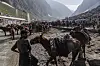 Ponnier og håndterere ved en fjellbekk langs en pilegrimsrute.