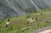 Personell deltar i en sikkerhetsøvelse på en grønn fjellskråning langs Amarnath-ruten.